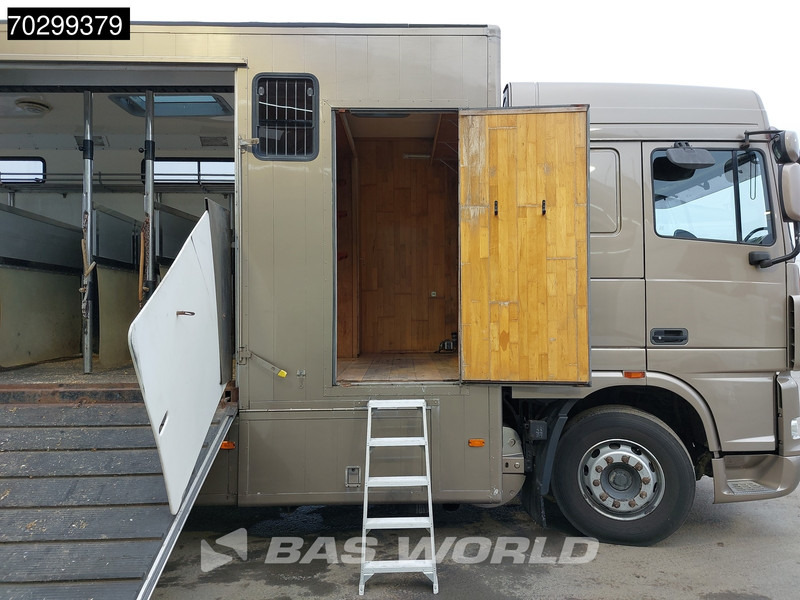 Μίσθωση DAF XF105.410 XF 4X2 NL-Truck JK Horsetruck 6 Horses Pferdentransport Manual Euro 5 DAF XF105.410 XF 4X2 NL-Truck JK Horsetruck 6 Horses Pferdentransport Manual Euro 5: φωτογραφία 17 Μίσθωση DAF XF105.410 XF 4X2 NL-Truck JK Horsetruck 6 Horses Pferdentransport Manual Euro 5 DAF XF105.410 XF 4X2 NL-Truck JK Horsetruck 6 Horses Pferdentransport Manual Euro 5: φωτογραφία 17