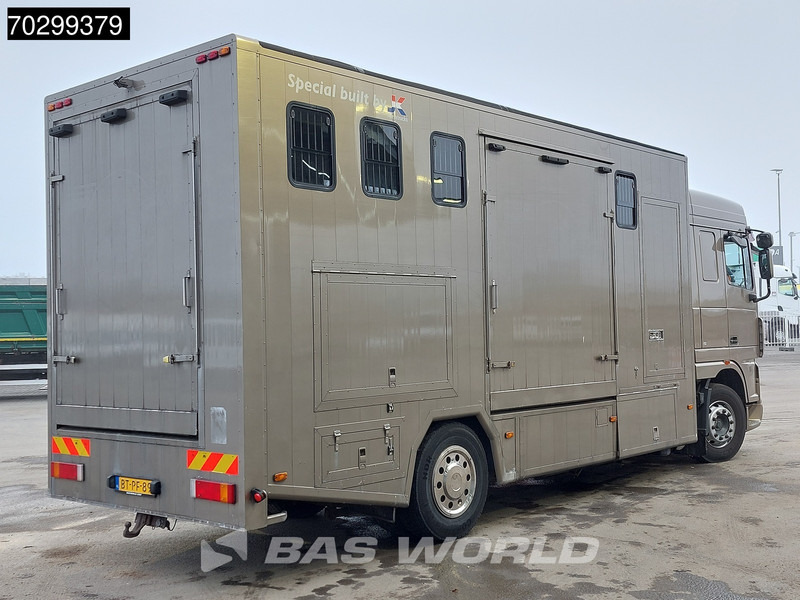 Μίσθωση DAF XF105.410 XF 4X2 NL-Truck JK Horsetruck 6 Horses Pferdentransport Manual Euro 5 DAF XF105.410 XF 4X2 NL-Truck JK Horsetruck 6 Horses Pferdentransport Manual Euro 5: φωτογραφία 6 Μίσθωση DAF XF105.410 XF 4X2 NL-Truck JK Horsetruck 6 Horses Pferdentransport Manual Euro 5 DAF XF105.410 XF 4X2 NL-Truck JK Horsetruck 6 Horses Pferdentransport Manual Euro 5: φωτογραφία 6