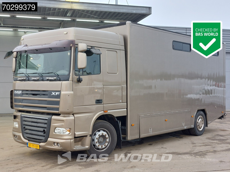 DAF XF105.410 XF 4X2 NL-Truck JK Horsetruck 6 Horses Pferdentransport Manual Euro 5 - Φορτηγό μεταφοράς αλόγων: φωτογραφία 1 DAF XF105.410 XF 4X2 NL-Truck JK Horsetruck 6 Horses Pferdentransport Manual Euro 5 - Φορτηγό μεταφοράς αλόγων: φωτογραφία 1