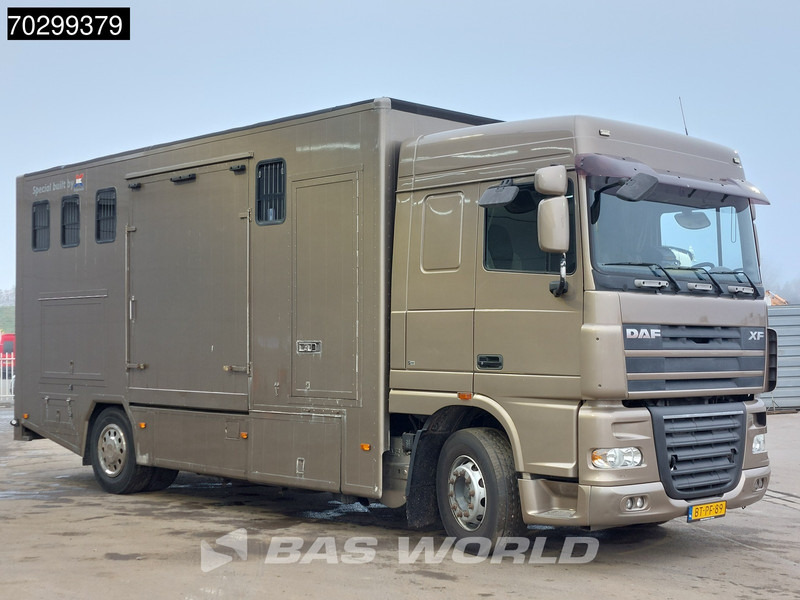 DAF XF105.410 XF 4X2 NL-Truck JK Horsetruck 6 Horses Pferdentransport Manual Euro 5 - Φορτηγό μεταφοράς αλόγων: φωτογραφία 3 DAF XF105.410 XF 4X2 NL-Truck JK Horsetruck 6 Horses Pferdentransport Manual Euro 5 - Φορτηγό μεταφοράς αλόγων: φωτογραφία 3