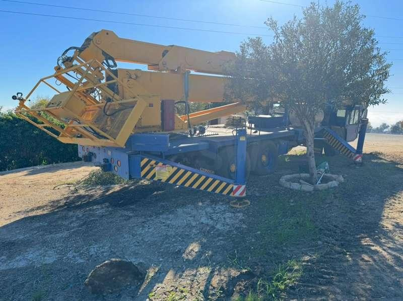 CONDOR Grue de Levage 125/S - Τηλεσκοπικός γερανός: φωτογραφία 3 CONDOR Grue de Levage 125/S - Τηλεσκοπικός γερανός: φωτογραφία 3