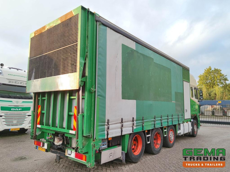 DAF FAK XF95.430 8x2 SuperSpaceCab Euro3 - CurtainSider 7.31m + Ramp 16T - MachineTransporter - 6 Persons (V558) - Φορτηγό αυτοκινητάμαξα: φωτογραφία 4 DAF FAK XF95.430 8x2 SuperSpaceCab Euro3 - CurtainSider 7.31m + Ramp 16T - MachineTransporter - 6 Persons (V558) - Φορτηγό αυτοκινητάμαξα: φωτογραφία 4