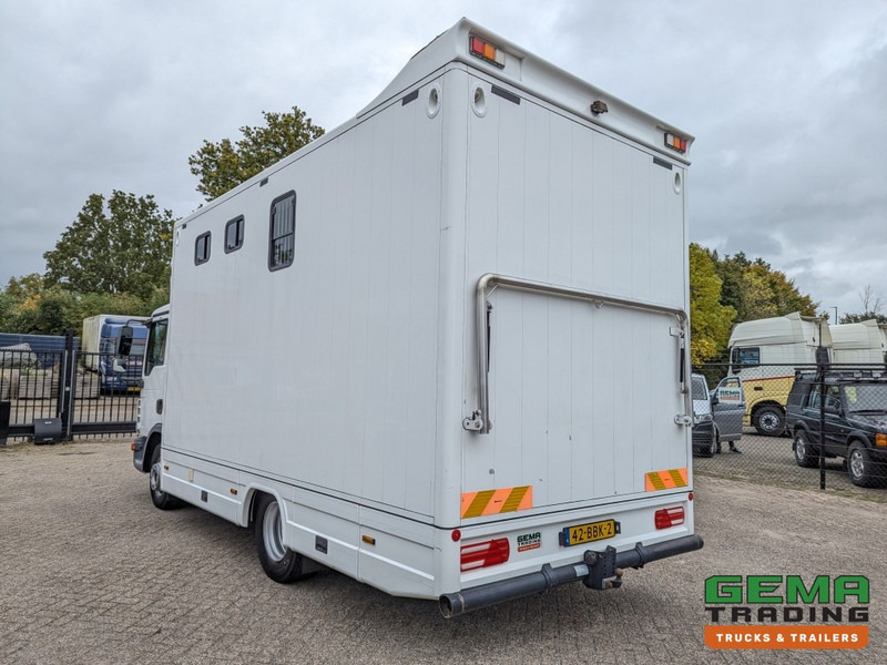 MAN TGL 12.250 4x2 Euro5 EEV RC HorseTruck - 2a3 Paards - 135.000km - MARGE (V821) - Φορτηγό μεταφοράς αλόγων: φωτογραφία 4 MAN TGL 12.250 4x2 Euro5 EEV RC HorseTruck - 2a3 Paards - 135.000km - MARGE (V821) - Φορτηγό μεταφοράς αλόγων: φωτογραφία 4