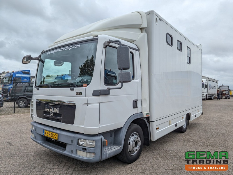 MAN TGL 12.250 4x2 Euro5 EEV RC HorseTruck - 2a3 Paards - 135.000km - MARGE (V821) - Φορτηγό μεταφοράς αλόγων: φωτογραφία 2 MAN TGL 12.250 4x2 Euro5 EEV RC HorseTruck - 2a3 Paards - 135.000km - MARGE (V821) - Φορτηγό μεταφοράς αλόγων: φωτογραφία 2