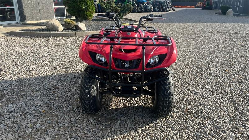 Yamaha Big bear 250 - Τετράκλινα: φωτογραφία 4 Yamaha Big bear 250 - Τετράκλινα: φωτογραφία 4