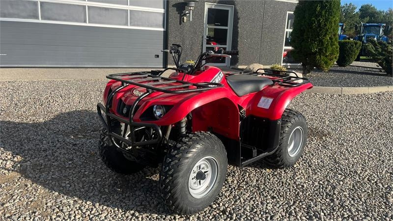 Yamaha Big bear 250 - Τετράκλινα: φωτογραφία 2 Yamaha Big bear 250 - Τετράκλινα: φωτογραφία 2