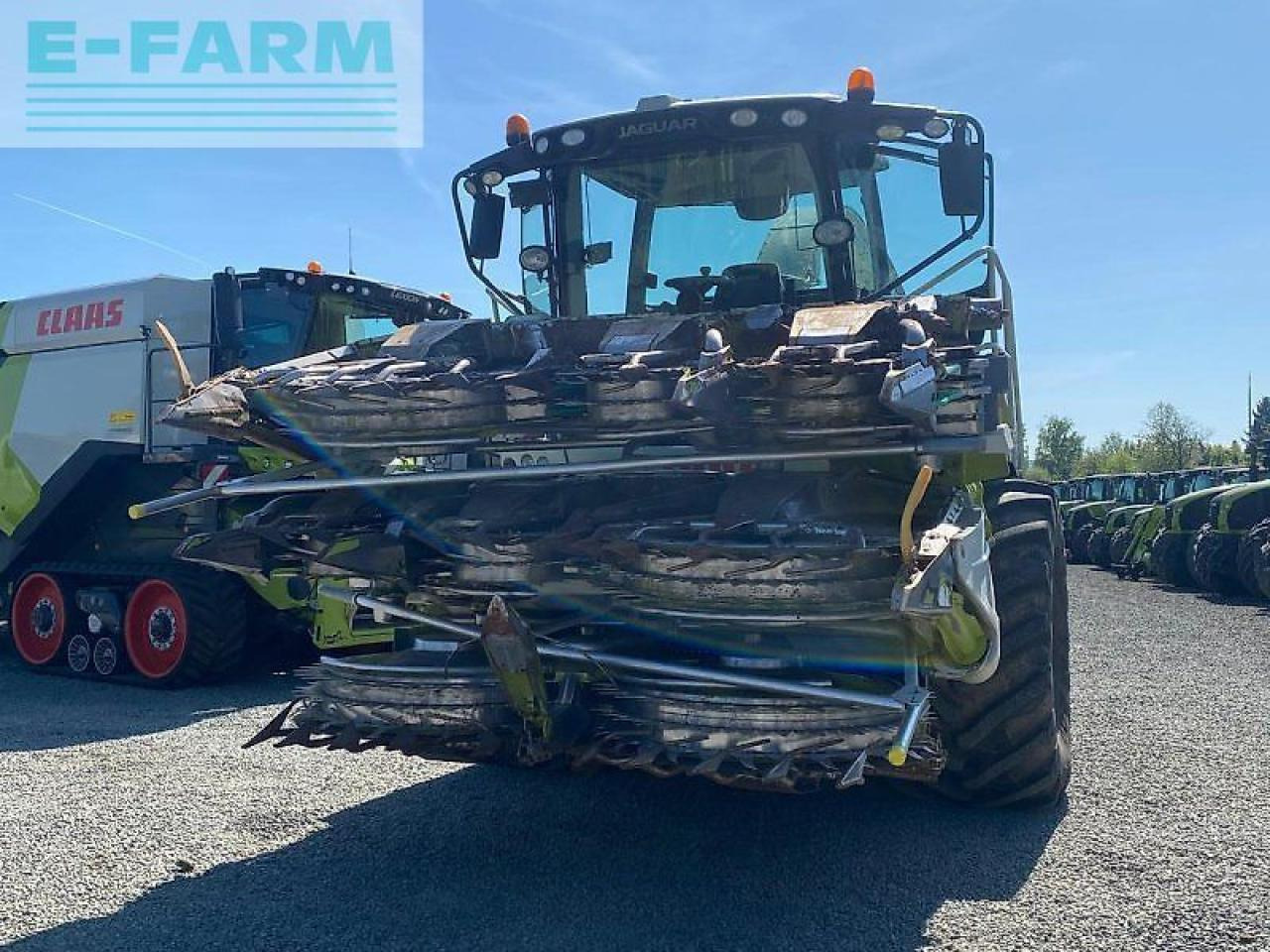 Ενσιρωτική μηχανή CLAAS jaguar 970 a: φωτογραφία 12