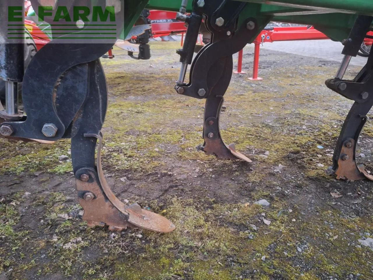 Kerner x3 - Καλλιεργητής: φωτογραφία 3 Kerner x3 - Καλλιεργητής: φωτογραφία 3