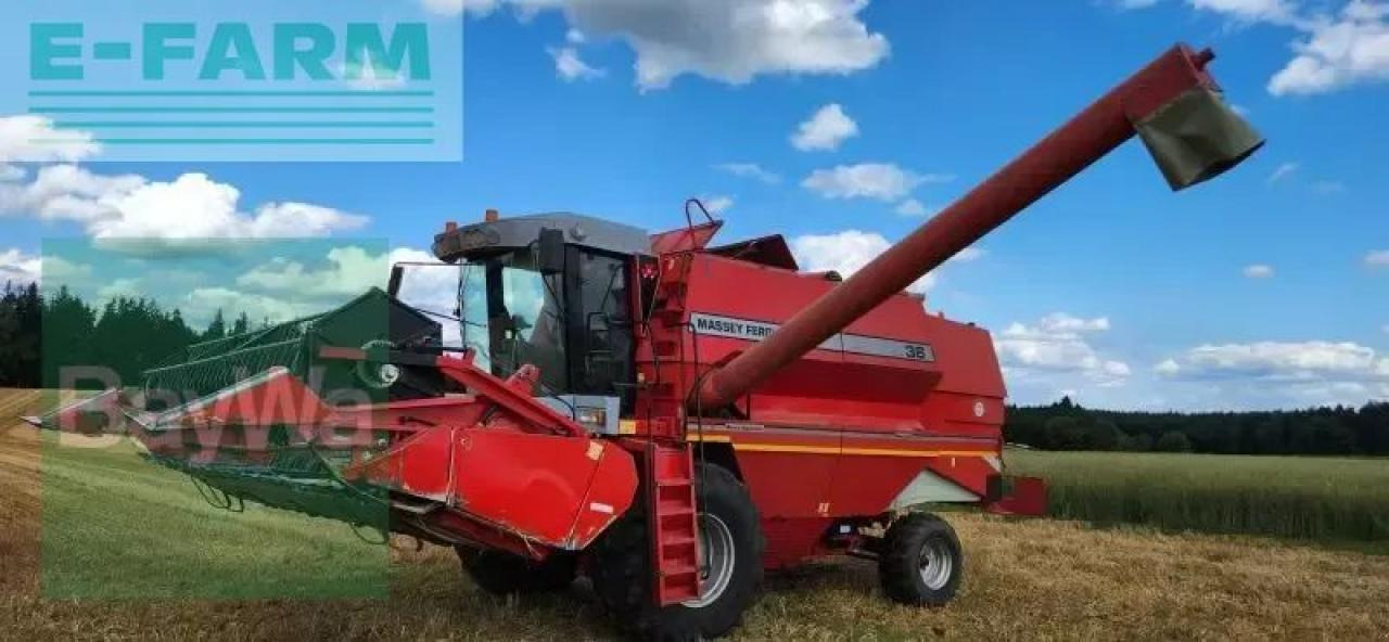 Massey Ferguson mf 36 al - Θεριζοαλωνιστική μηχανή: φωτογραφία 2 Massey Ferguson mf 36 al - Θεριζοαλωνιστική μηχανή: φωτογραφία 2
