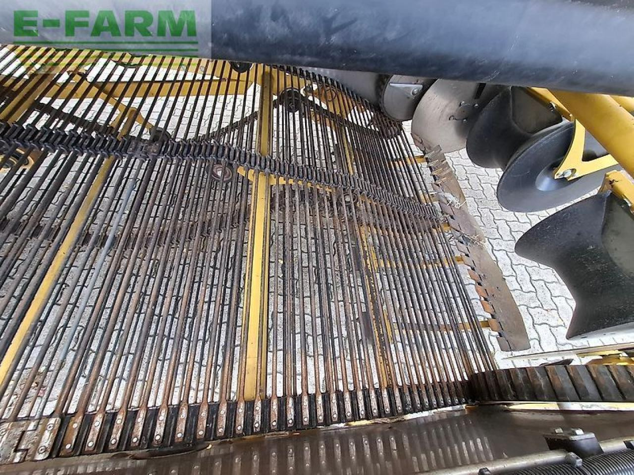 Ropa keiler ii - Πατατοεξαγωγέας: φωτογραφία 5 Ropa keiler ii - Πατατοεξαγωγέας: φωτογραφία 5