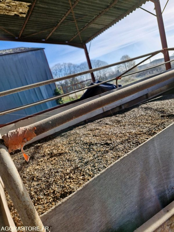 Benne ampliroll céréalière 9 - Φορτηγό: φωτογραφία 5 Benne ampliroll céréalière 9 - Φορτηγό: φωτογραφία 5