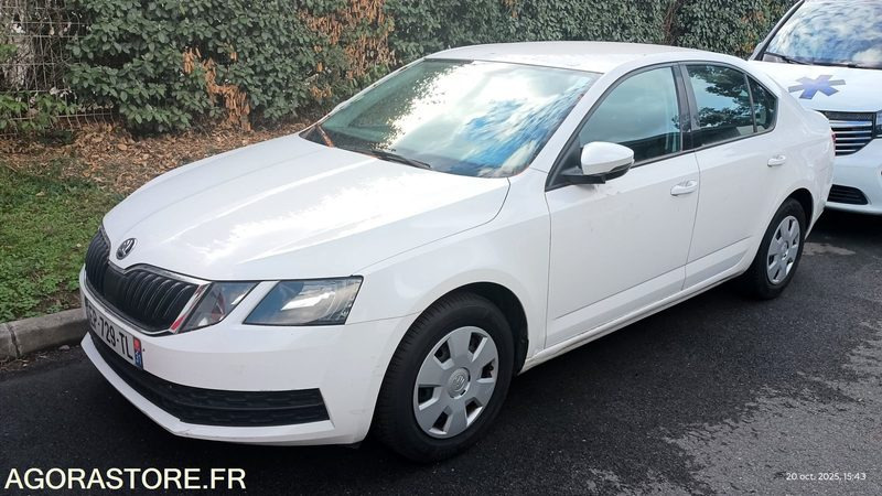 EP-729-TL - Non Roulant - SKODA OCTAVIA - VP -  349 390 Kms - Αυτοκίνητο: φωτογραφία 1 EP-729-TL - Non Roulant - SKODA OCTAVIA - VP -  349 390 Kms - Αυτοκίνητο: φωτογραφία 1