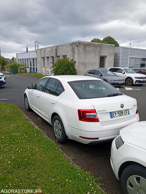 EY-528-LF - Roulant - SKODA OCTAVIA - VP - 421 000 Kms - Αυτοκίνητο: φωτογραφία 3 EY-528-LF - Roulant - SKODA OCTAVIA - VP - 421 000 Kms - Αυτοκίνητο: φωτογραφία 3