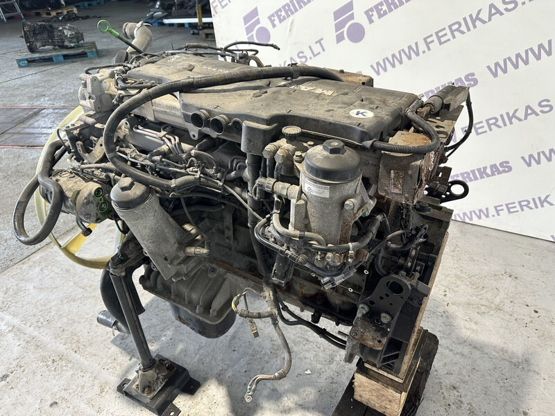 MAN TGM D0836 LFL64 290 PS EURO5 engine - Κινητήρας για Φορτηγό: φωτογραφία 3 MAN TGM D0836 LFL64 290 PS EURO5 engine - Κινητήρας για Φορτηγό: φωτογραφία 3
