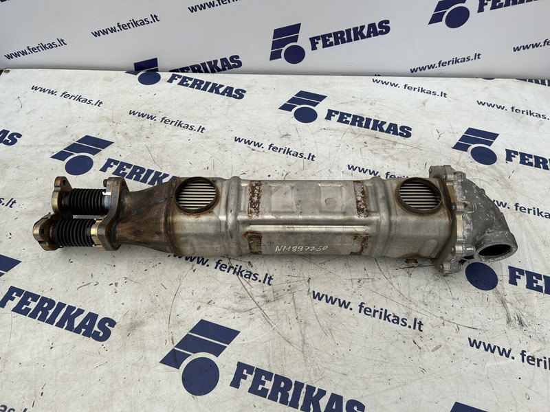 MAN TGX - Σύστημα εξάτμισης για Φορτηγό: φωτογραφία 1 MAN TGX - Σύστημα εξάτμισης για Φορτηγό: φωτογραφία 1