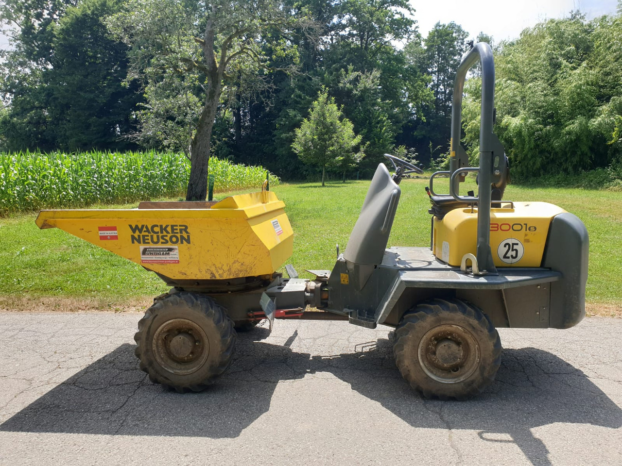 WACKER NEUSON 3001 - Ανατρεπόμενο όχημα: φωτογραφία 1 WACKER NEUSON 3001 - Ανατρεπόμενο όχημα: φωτογραφία 1