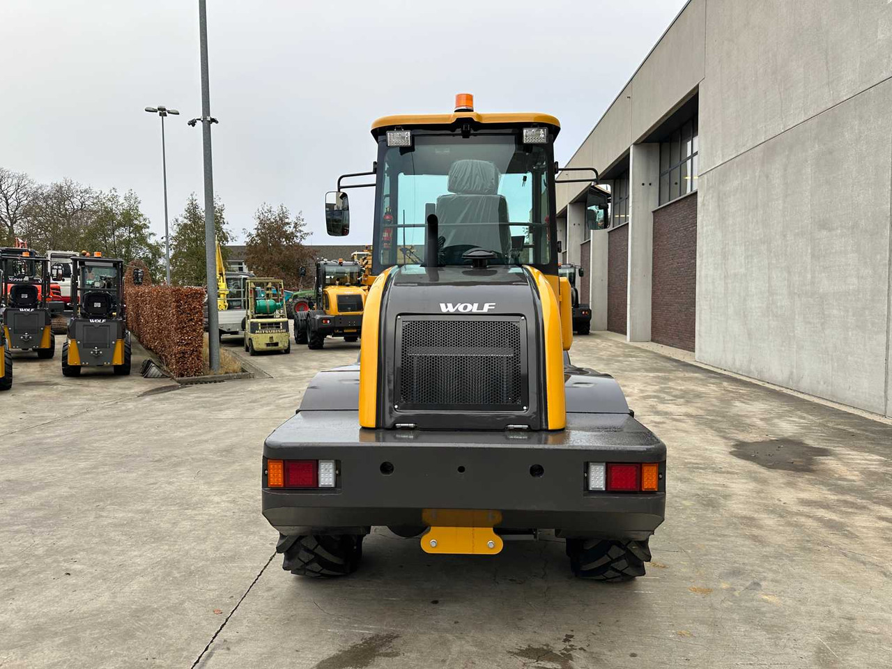 WOLF - 2025 - WL160 - WHEEL LOADER WOLF WL160 - Ελαστιχοφόρος φορτωτής: φωτογραφία 5 WOLF - 2025 - WL160 - WHEEL LOADER WOLF WL160 - Ελαστιχοφόρος φορτωτής: φωτογραφία 5