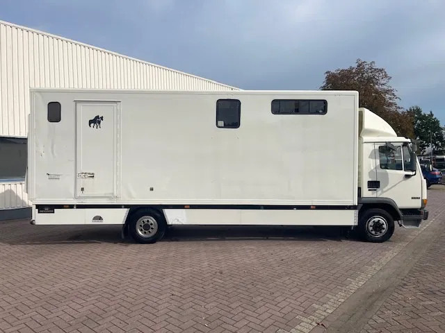 DAF LF 45.130 CLEAN HORSES NL-TRUCK - Φορτηγό μεταφοράς αλόγων: φωτογραφία 5 DAF LF 45.130 CLEAN HORSES NL-TRUCK - Φορτηγό μεταφοράς αλόγων: φωτογραφία 5