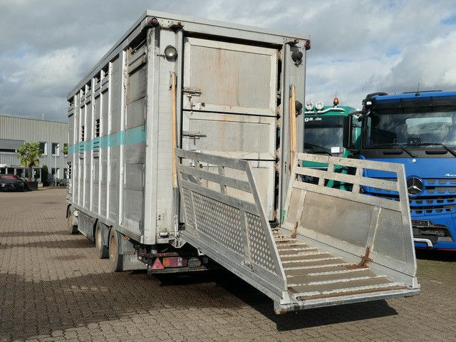 Bannas AT 24.83, 3 Etagen, Schweine, Liftachse - Ρυμούλκα μεταφορά ζώων: φωτογραφία 5 Bannas AT 24.83, 3 Etagen, Schweine, Liftachse - Ρυμούλκα μεταφορά ζώων: φωτογραφία 5