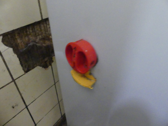 Batteur Kaplain BT40F - Μηχανή τροφίμων: φωτογραφία 5 Batteur Kaplain BT40F - Μηχανή τροφίμων: φωτογραφία 5