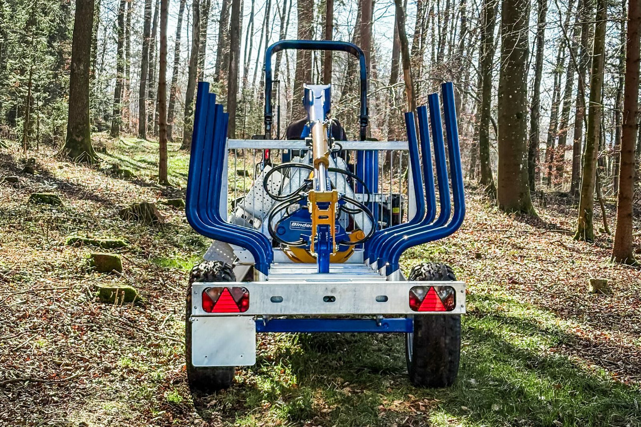 Binderberger Alpin 3t Holzrückewagen - Δασική ρυμούλκα: φωτογραφία 2 Binderberger Alpin 3t Holzrückewagen - Δασική ρυμούλκα: φωτογραφία 2