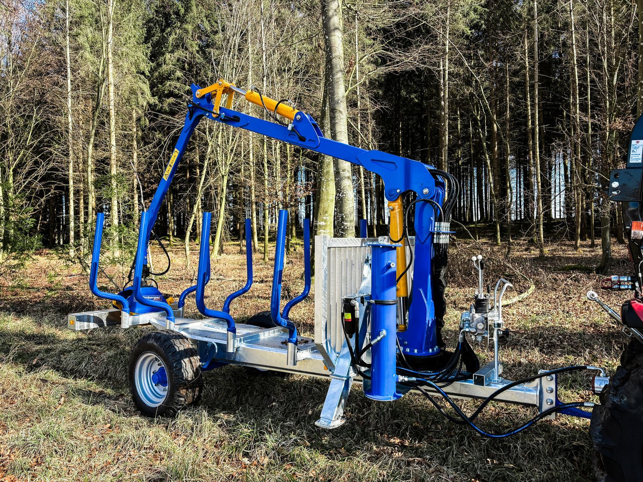 Binderberger Alpin 3t Holzrückewagen - Δασική ρυμούλκα: φωτογραφία 1 Binderberger Alpin 3t Holzrückewagen - Δασική ρυμούλκα: φωτογραφία 1