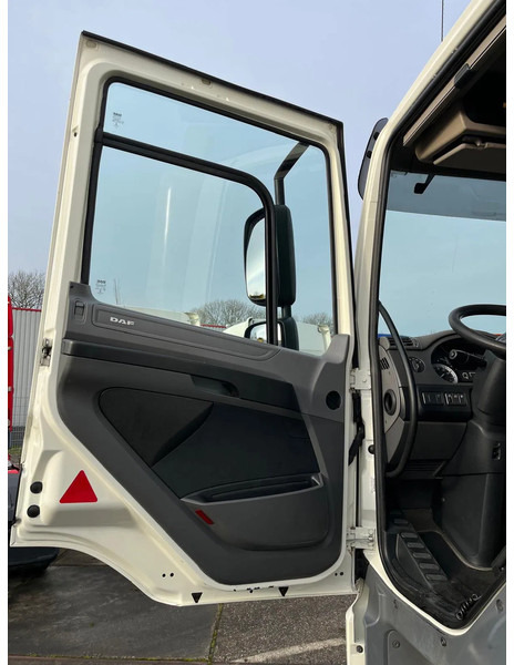 Φορτηγό σασί DAF CF 260 CF 260 FA CHASSIS CABINE EURO 6: φωτογραφία 8