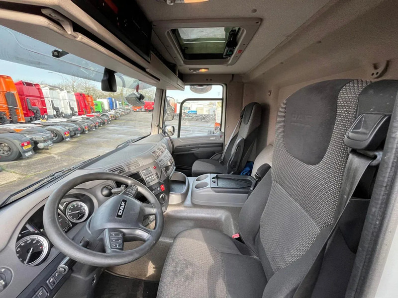 Φορτηγό σασί DAF CF 260 CF 260 FA CHASSIS CABINE EURO 6: φωτογραφία 11