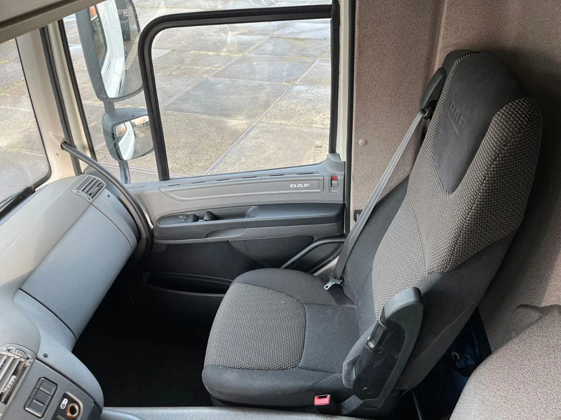 Φορτηγό σασί DAF CF 260 CF 260 FA CHASSIS CABINE EURO 6: φωτογραφία 13
