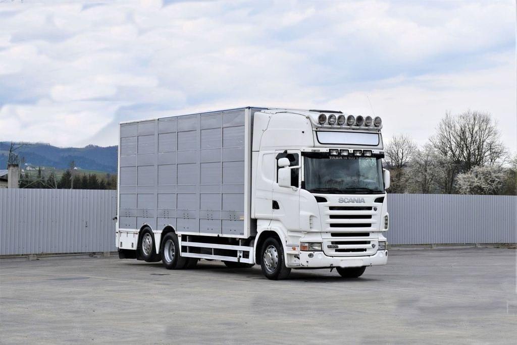 Scania R 500 TIERTRANSPORTWAGEN 7,10m / 4STOCK Scania R 500 TIERTRANSPORTWAGEN 7,10m / 4STOCK - Φορτηγό μεταφορά ζώων: φωτογραφία 2 Scania R 500 TIERTRANSPORTWAGEN 7,10m / 4STOCK Scania R 500 TIERTRANSPORTWAGEN 7,10m / 4STOCK - Φορτηγό μεταφορά ζώων: φωτογραφία 2