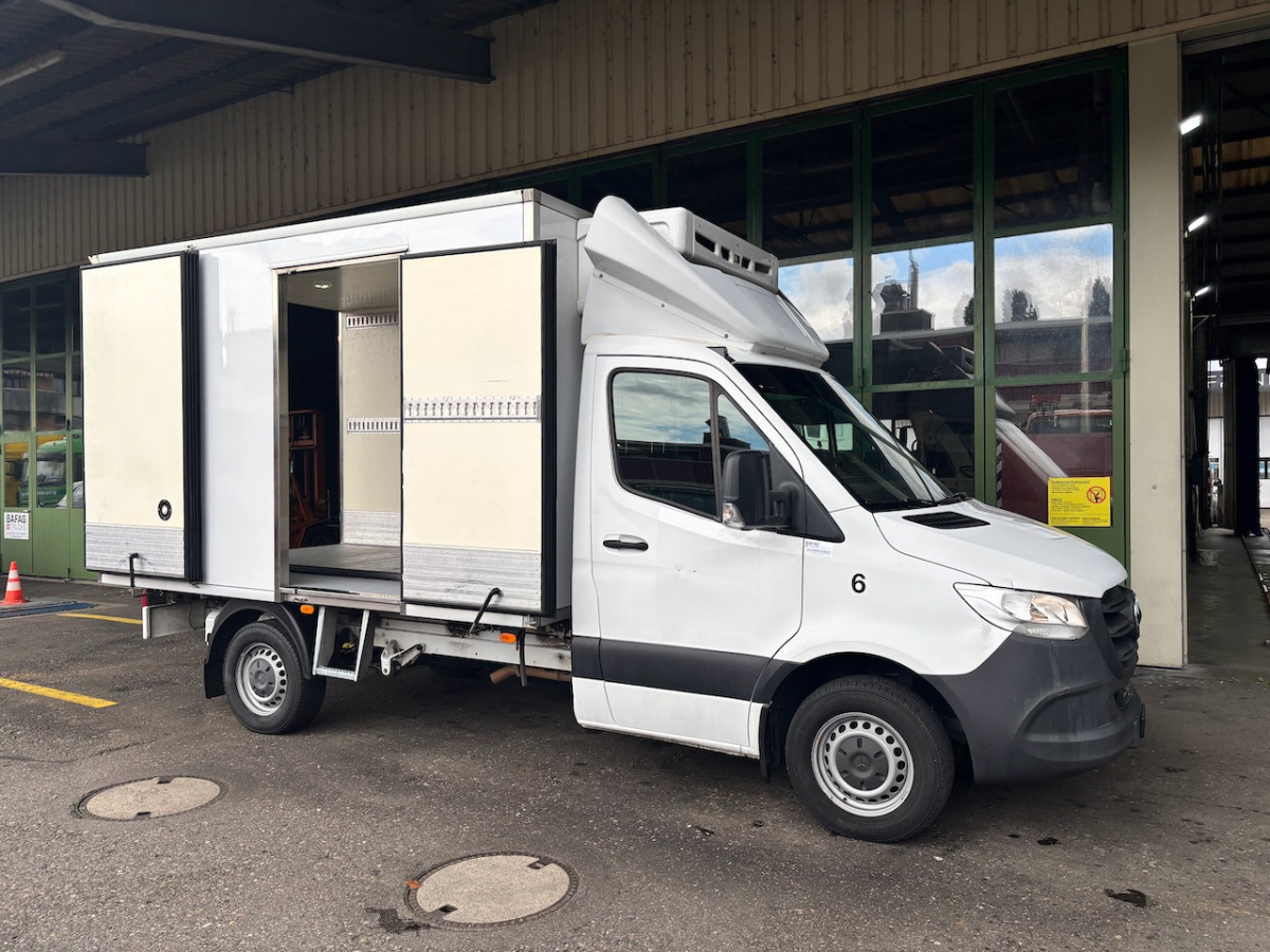 Επαγγελματικό αυτοκίνητο ψυγείο MERCEDES 316 CDI: φωτογραφία 12