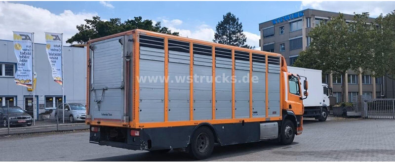 DAF CF 400 - Animal transporter - Φορτηγό μεταφορά ζώων: φωτογραφία 4 DAF CF 400 - Animal transporter - Φορτηγό μεταφορά ζώων: φωτογραφία 4