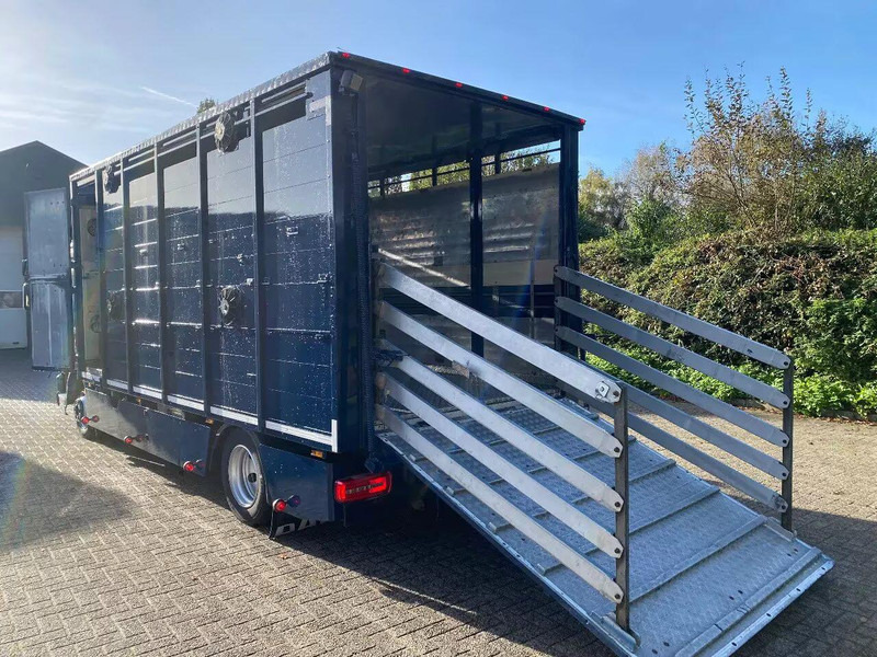 DAF LF 280 - Φορτηγό μεταφορά ζώων: φωτογραφία 5 DAF LF 280 - Φορτηγό μεταφορά ζώων: φωτογραφία 5