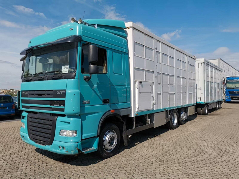 DAF XF 105.460 - Animal transporter + trailer - Φορτηγό μεταφορά ζώων: φωτογραφία 1 DAF XF 105.460 - Animal transporter + trailer - Φορτηγό μεταφορά ζώων: φωτογραφία 1