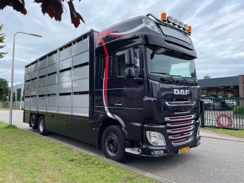 DAF XF 460 - Animal transporter - Φορτηγό μεταφορά ζώων: φωτογραφία 2 DAF XF 460 - Animal transporter - Φορτηγό μεταφορά ζώων: φωτογραφία 2