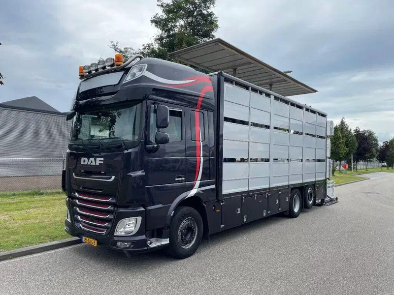 DAF XF 460 - Animal transporter - Φορτηγό μεταφορά ζώων: φωτογραφία 3 DAF XF 460 - Animal transporter - Φορτηγό μεταφορά ζώων: φωτογραφία 3