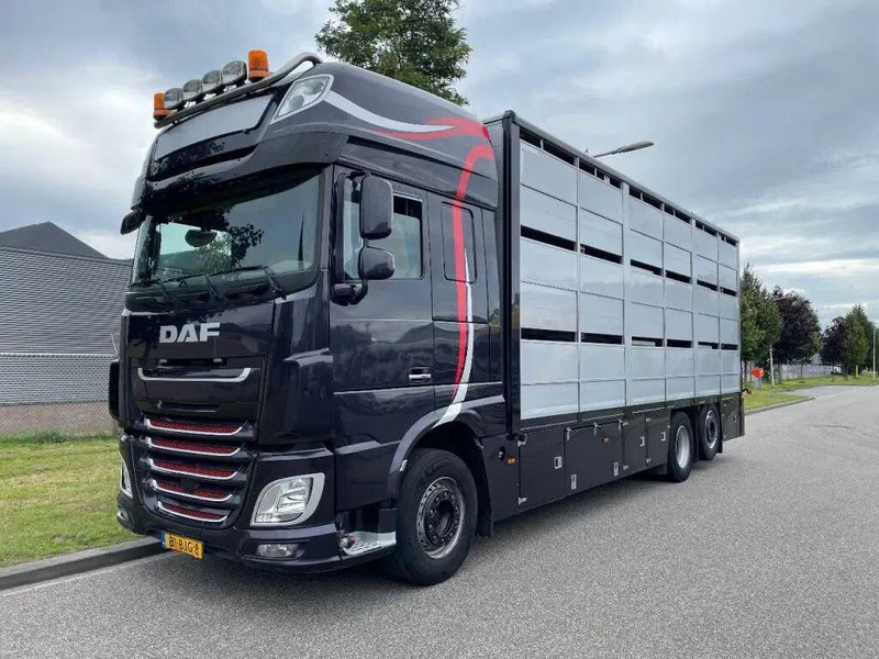 DAF XF 460 - Animal transporter - Φορτηγό μεταφορά ζώων: φωτογραφία 1 DAF XF 460 - Animal transporter - Φορτηγό μεταφορά ζώων: φωτογραφία 1