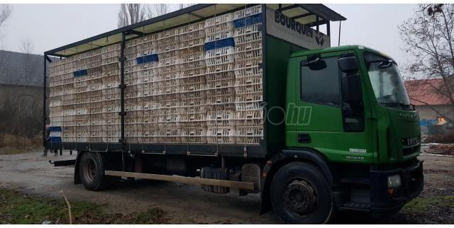 Iveco Eurocargo 180E28 - Φορτηγό μεταφορά ζώων: φωτογραφία 2 Iveco Eurocargo 180E28 - Φορτηγό μεταφορά ζώων: φωτογραφία 2
