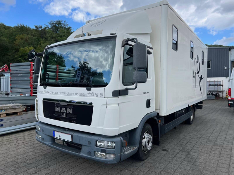 MAN TGL 8.180 - Horse transporter - Φορτηγό μεταφοράς αλόγων: φωτογραφία 1 MAN TGL 8.180 - Horse transporter - Φορτηγό μεταφοράς αλόγων: φωτογραφία 1