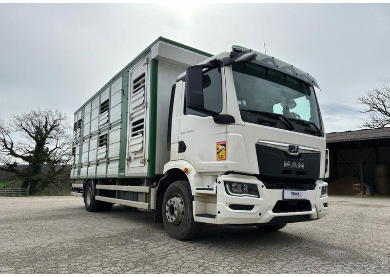 MAN TGM 15.290 Livestock Double Deck - Φορτηγό μεταφορά ζώων: φωτογραφία 1 MAN TGM 15.290 Livestock Double Deck - Φορτηγό μεταφορά ζώων: φωτογραφία 1