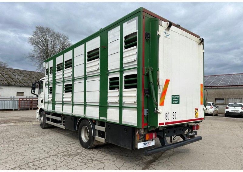 MAN TGM 15.290 Livestock Double Deck - Φορτηγό μεταφορά ζώων: φωτογραφία 5 MAN TGM 15.290 Livestock Double Deck - Φορτηγό μεταφορά ζώων: φωτογραφία 5