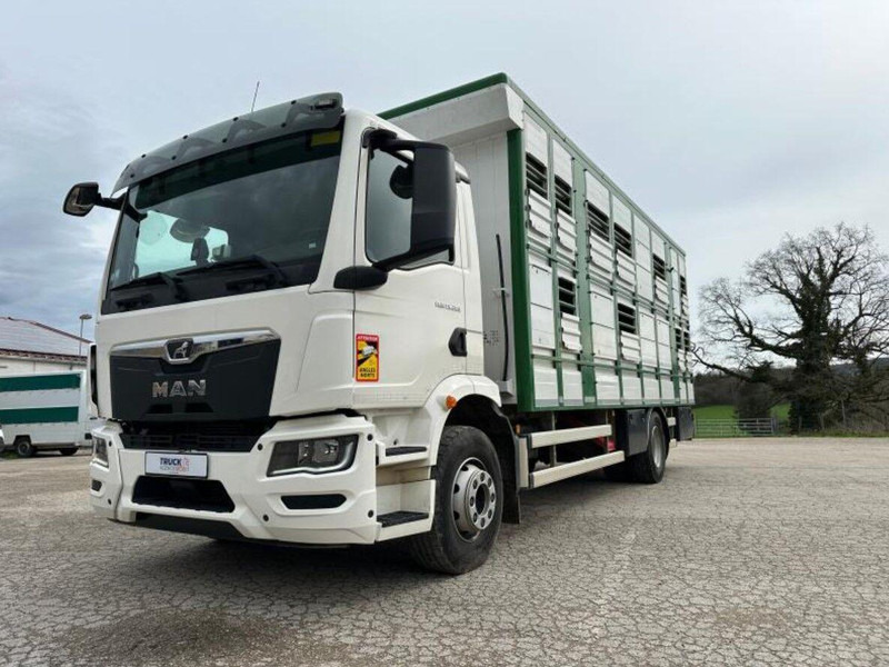MAN TGM 15.290 Livestock Double Deck - Φορτηγό μεταφορά ζώων: φωτογραφία 2 MAN TGM 15.290 Livestock Double Deck - Φορτηγό μεταφορά ζώων: φωτογραφία 2