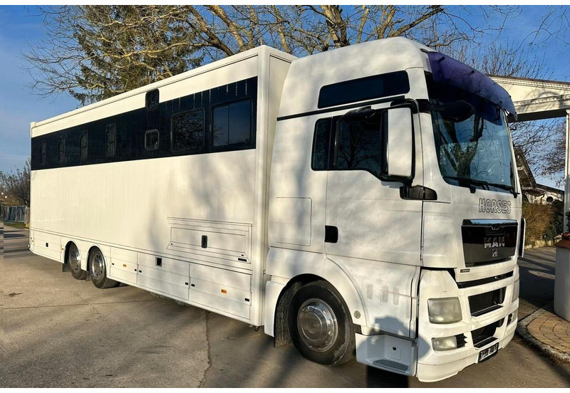 MAN TGX 26.440 - Horse transporter - Φορτηγό μεταφοράς αλόγων: φωτογραφία 2 MAN TGX 26.440 - Horse transporter - Φορτηγό μεταφοράς αλόγων: φωτογραφία 2