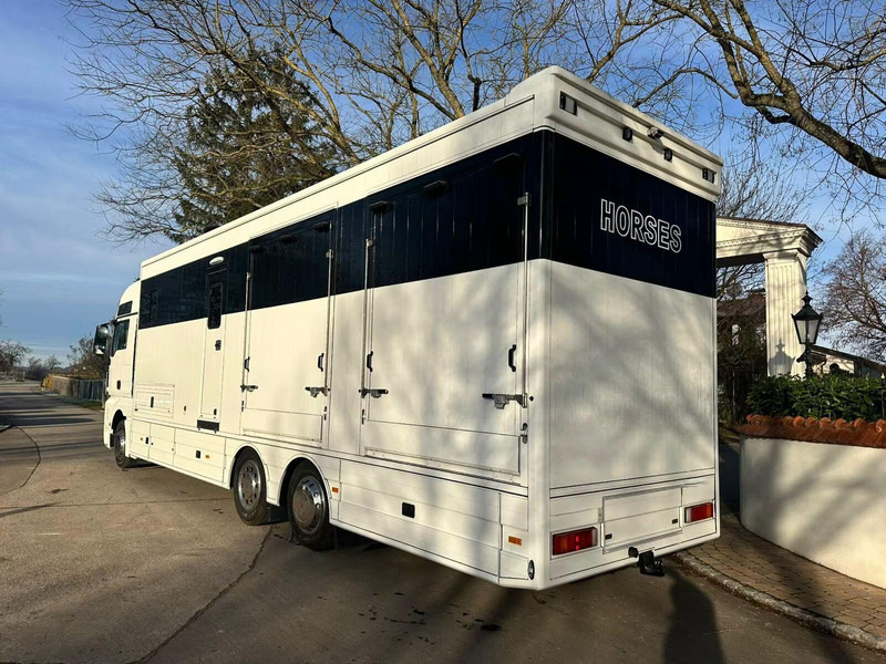 MAN TGX 26.440 - Horse transporter - Φορτηγό μεταφοράς αλόγων: φωτογραφία 4 MAN TGX 26.440 - Horse transporter - Φορτηγό μεταφοράς αλόγων: φωτογραφία 4