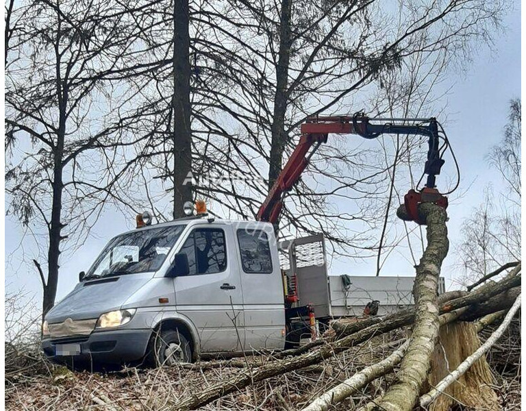Mercedes-Benz 413 - Doka tipper+crane with gripper - Φορτηγό ανατρεπόμενο, Φορτηγό με γερανό: φωτογραφία 3 Mercedes-Benz 413 - Doka tipper+crane with gripper - Φορτηγό ανατρεπόμενο, Φορτηγό με γερανό: φωτογραφία 3