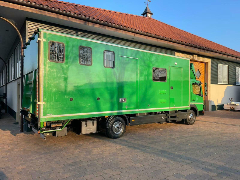 Mercedes-Benz Atego 1018 - Horse transporter - Φορτηγό μεταφοράς αλόγων: φωτογραφία 5 Mercedes-Benz Atego 1018 - Horse transporter - Φορτηγό μεταφοράς αλόγων: φωτογραφία 5