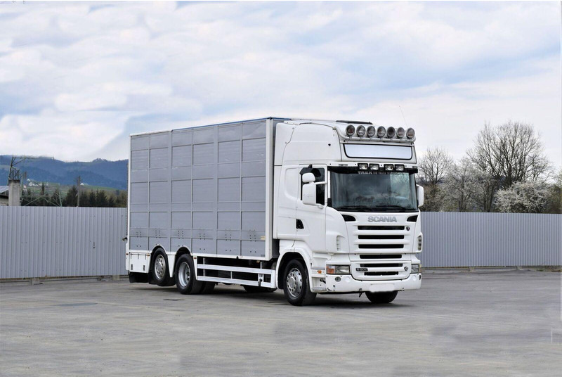 Scania R 500 - Φορτηγό μεταφορά ζώων: φωτογραφία 2 Scania R 500 - Φορτηγό μεταφορά ζώων: φωτογραφία 2