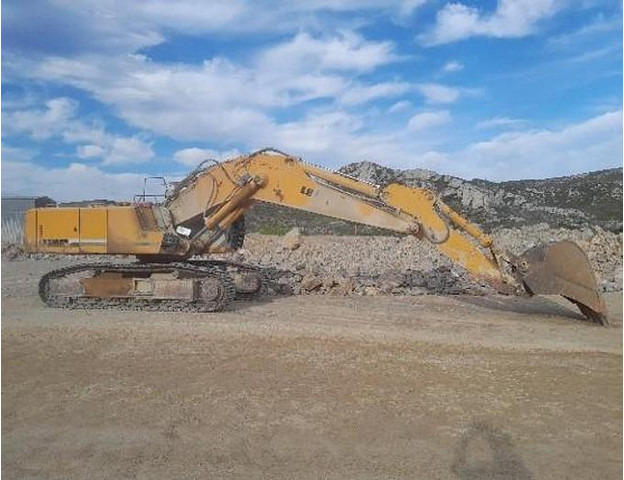 Liebherr R954CHD Li - Ψυγείο αυτοκίνητο: φωτογραφία 3 Liebherr R954CHD Li - Ψυγείο αυτοκίνητο: φωτογραφία 3