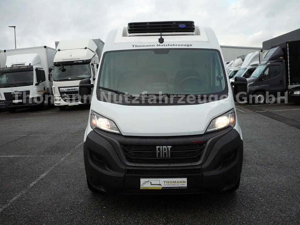 Fiat Ducato Kühlkasten L4/H2 Carrier Xarios 300GH Fiat Ducato Kühlkasten L4/H2 Carrier Xarios 300GH - Επαγγελματικό αυτοκίνητο ψυγείο: φωτογραφία 2 Fiat Ducato Kühlkasten L4/H2 Carrier Xarios 300GH Fiat Ducato Kühlkasten L4/H2 Carrier Xarios 300GH - Επαγγελματικό αυτοκίνητο ψυγείο: φωτογραφία 2