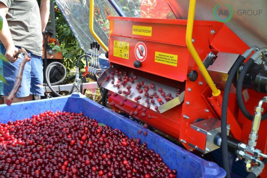 Jagoda machine for harvesting cherries, plums Gacek - Μηχανήματα κήπου: φωτογραφία 4 Jagoda machine for harvesting cherries, plums Gacek - Μηχανήματα κήπου: φωτογραφία 4